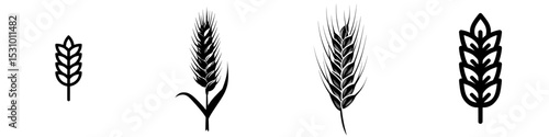 A black ear of wheat stands alone as a silhouette on a white background, symbolizing the icon of wheat