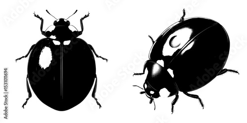 Ladybug modern icon isolated on transparent background, Ladybug logo design’ becomes ‘Modern ladybug icon on a transparent background for logo design purposes