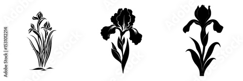 A contemporary outline of an iris flower in black, set against a white backdrop