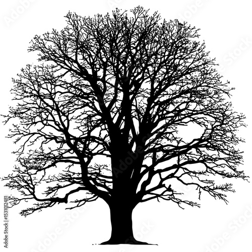 On a white canvas, the stark silhouette of a bare black tree in winter is prominently displayed