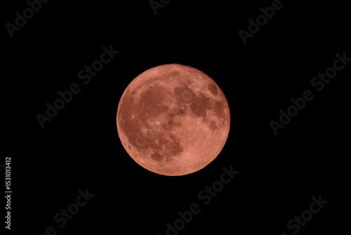 Strawberry Full Moon