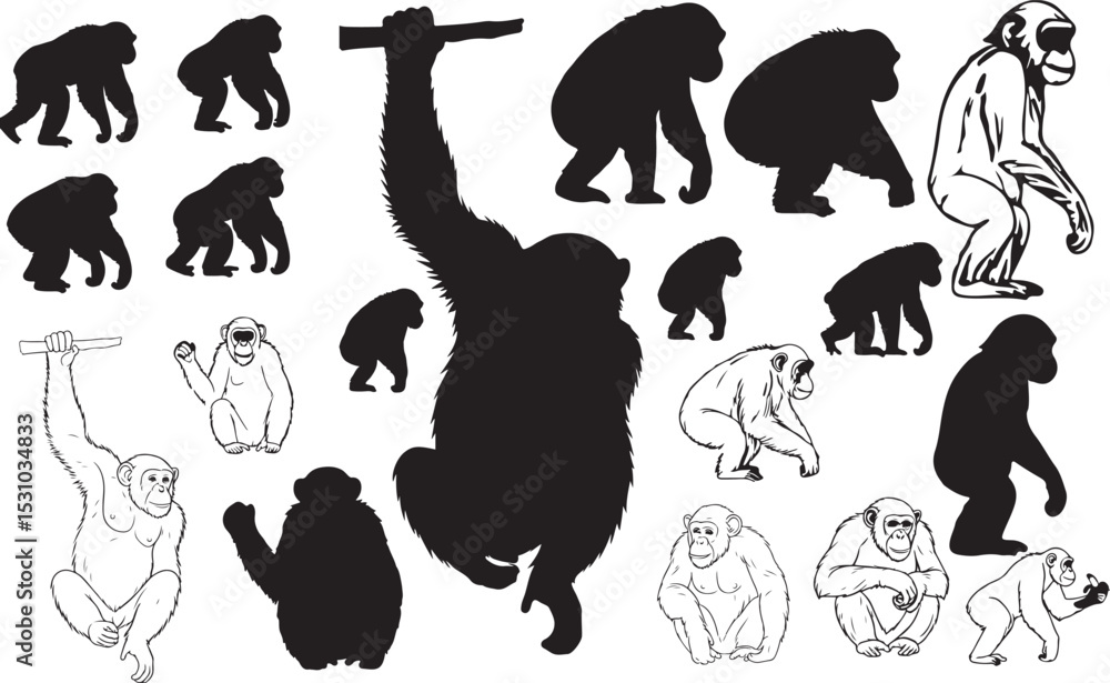 Obraz premium Chimpanzee Silhouettes Vector Pack