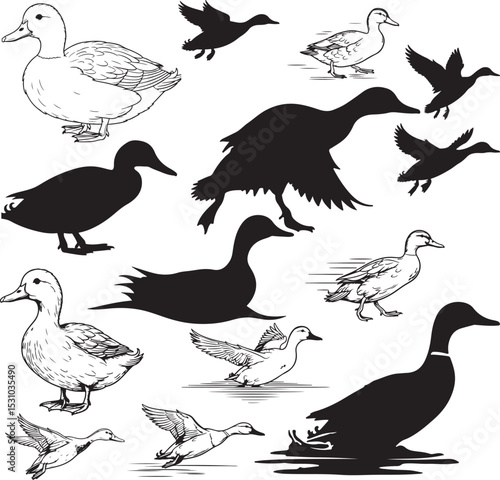 Duck Silhouettes – Solid Black & Outline Vector Set