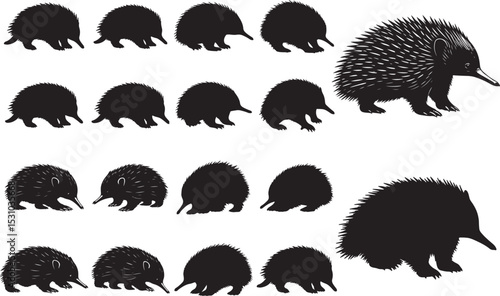 Echidna Silhouettes – Solid Black & Outline Vector Set