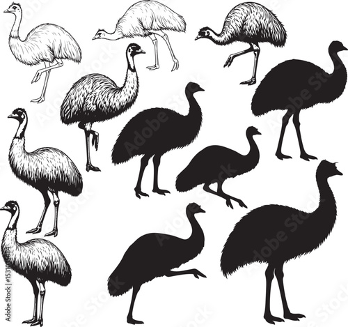 Emu Silhouettes – Solid Black & Outline Vector Set