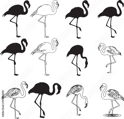 Flamingo Silhouettes – Solid Black & Outline Vector Set