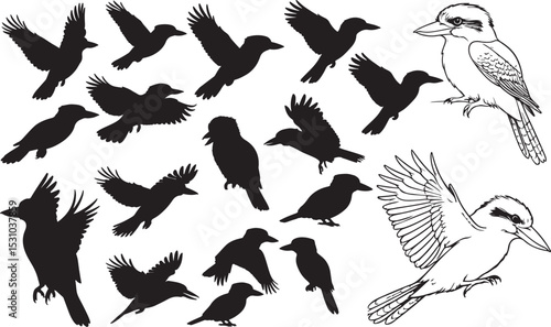 Kookaburra Silhouettes – Solid Black & Outline Vector Set