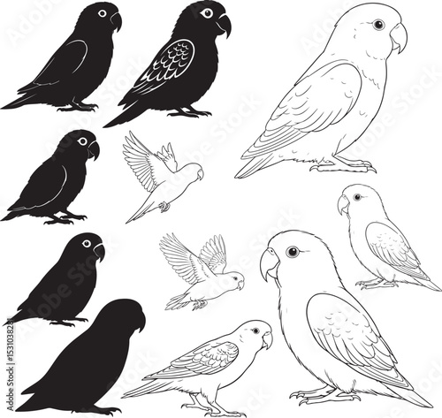 Lovebird Silhouettes – Solid Black & Outline Vector Set