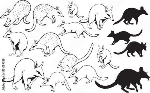 Ostrich Silhouettes – Solid Black & Outline Vector Set