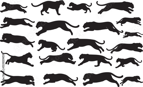 Panther Silhouettes – Solid Black & Outline Vector Set