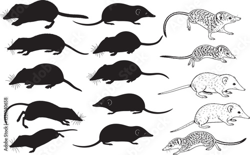 Tableau sur toile Shrew Silhouettes – Solid Black & Outline Vector Set