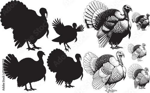 Turkey Silhouettes – Solid Black & Outline Vector Set