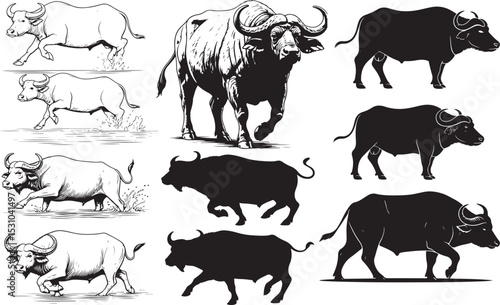 Water Buffalo Silhouettes – Solid Black & Outline Vector Set