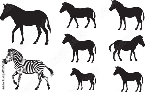 Zebra Silhouettes – Solid Black & Outline Vector Set