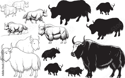Yak Silhouettes – Solid Black & Outline Vector Set