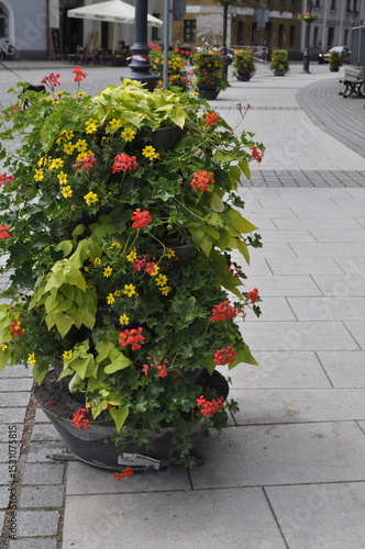 Colorful Flower Arrangement in a Street Planter