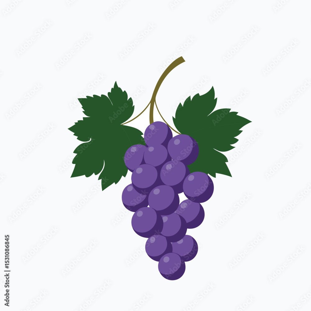 Fototapeta premium bunch of grapes