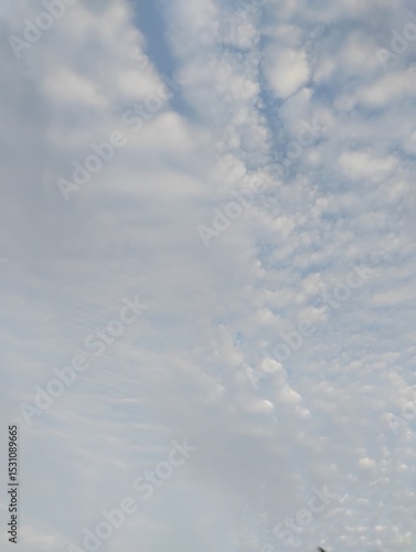 white clouds in the sky