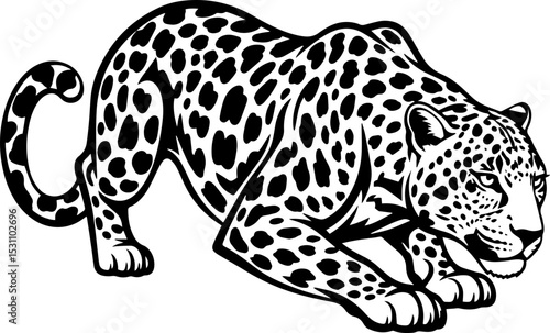 Majestic Leopard in Black and White Vector Illustration