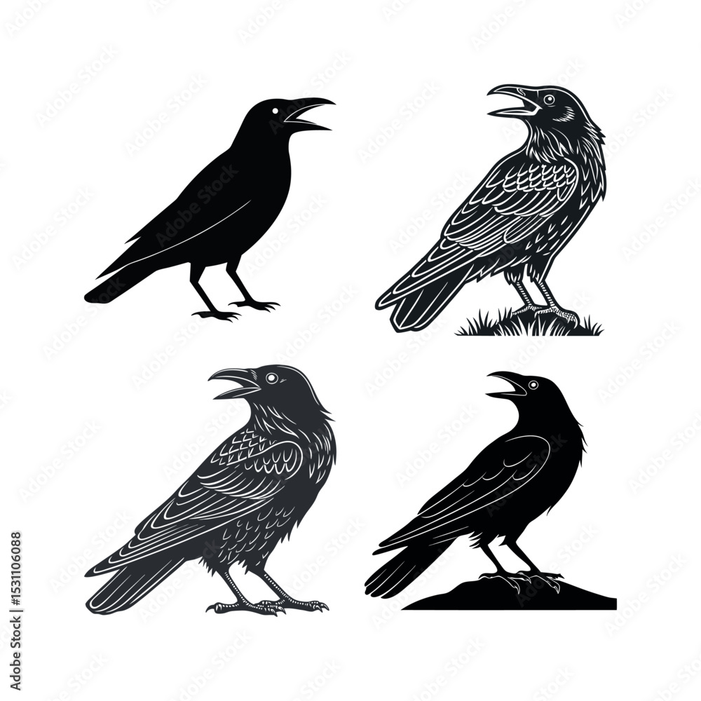 Fototapeta premium Four crow calling illustrations silhouettes and detailed drawings