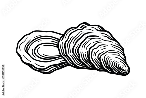 Detailed vector illustration of oyster shells, a seafood delicacy, presented in black and white.
