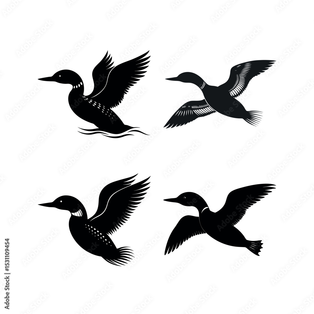 Fototapeta premium Four black loon silhouettes swimming and flying