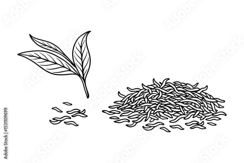 Detailed vector illustration of tea leaves and loose leaf tea elements for designs.