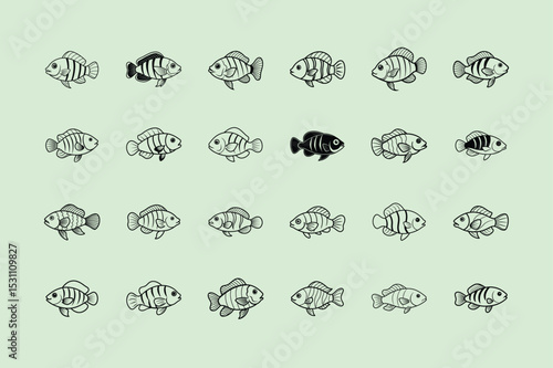 Jewel Cichlid, aquarium fish, line art illustration