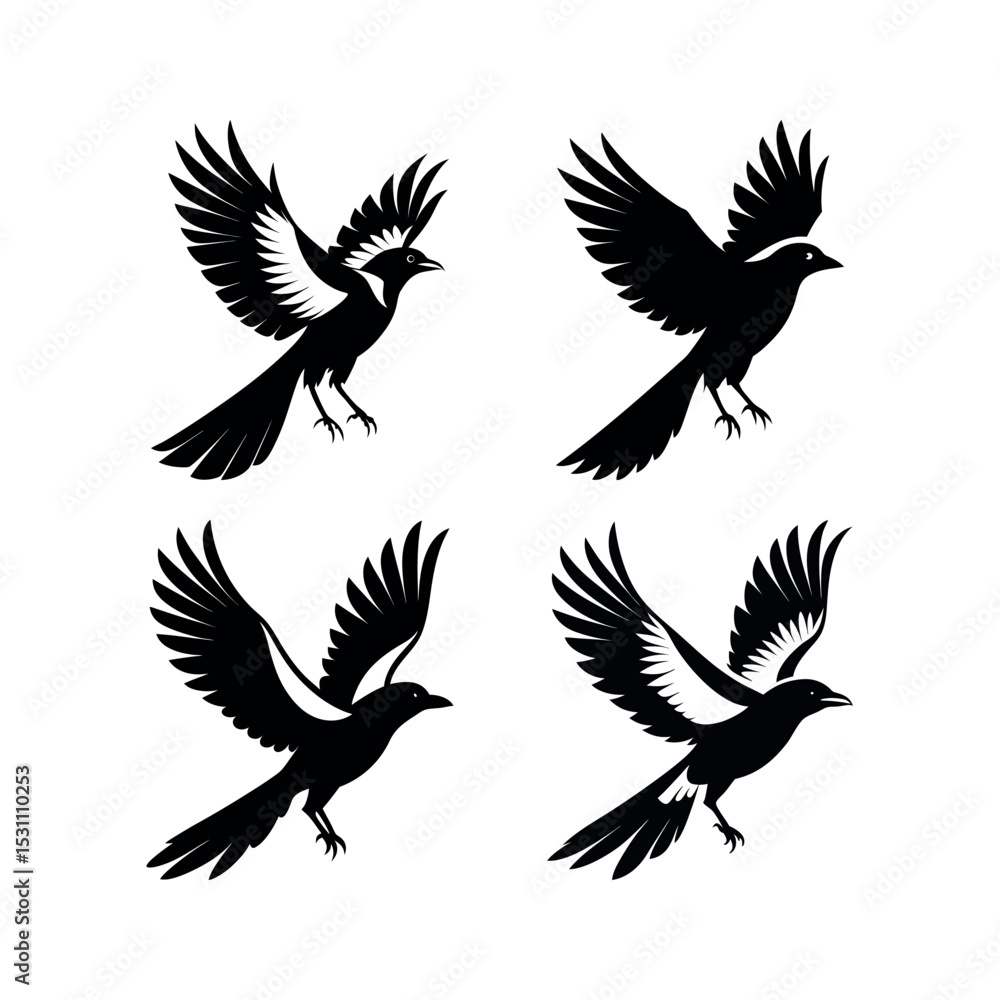 Fototapeta premium Four black and white magpie bird silhouettes in flight
