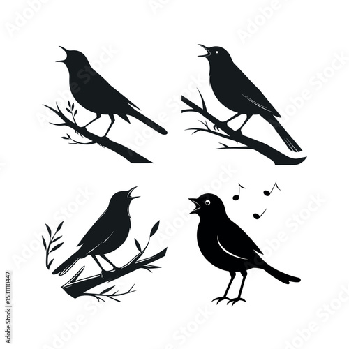 Four singing nightingale bird silhouettes on branches