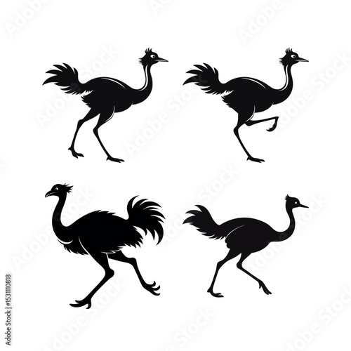 Four ostrich silhouettes in different poses