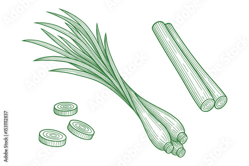 Detailed green vector illustration of fresh lemongrass stalks and slices in a simple, clean style.