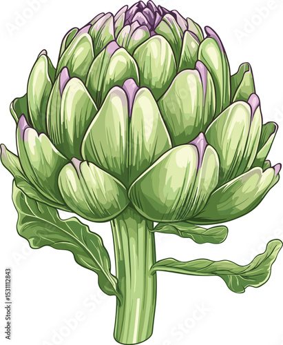 artichoke on a green leaf