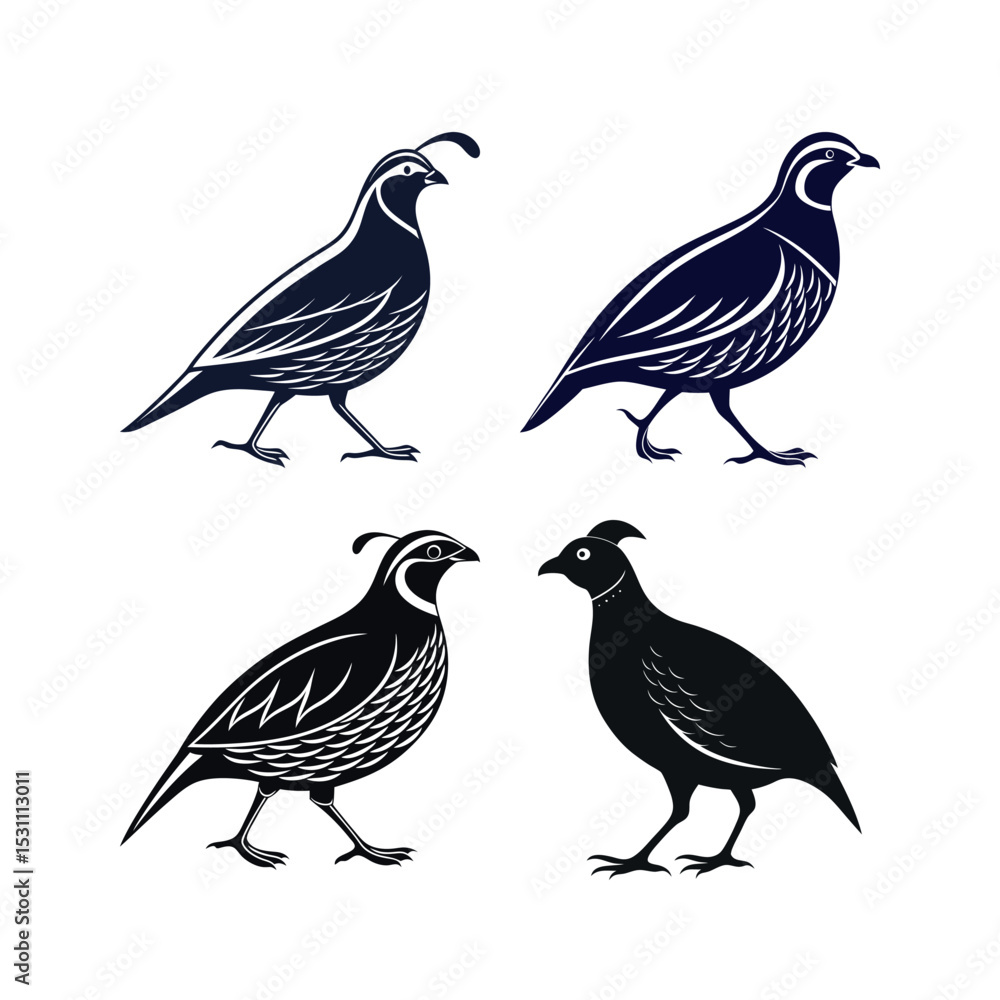 Four quail bird silhouettes in black and white Four quail bird silhouettes in black and white