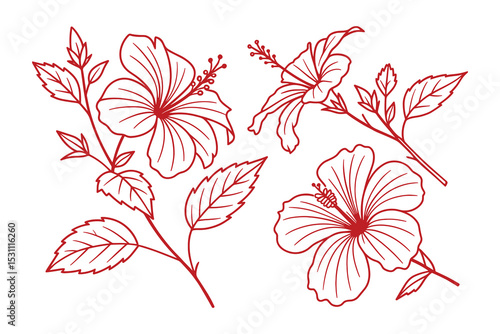 Detailed vector illustration of a hibiscus flower. Perfect for botanical or tropical designs.