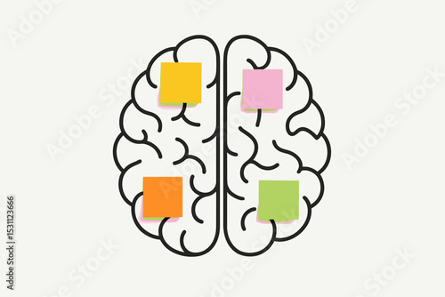 Simple illustration of human brain with colorful sticky notes on white background. Concept of memory organization and cognitive function