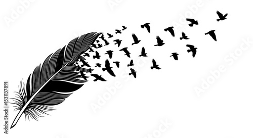 Black Feather with Silhouetted Birds Taking Flight
