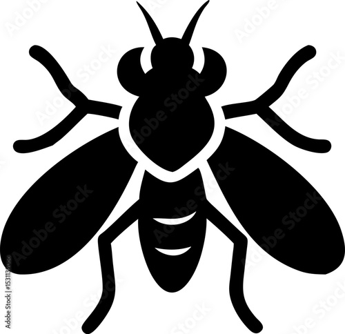 Black Fly Silhouette Vector Isolated on Transparent Background