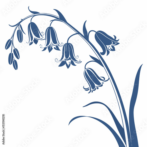 blue and white bluebell