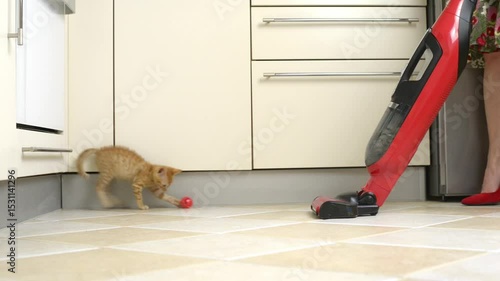 Yellow kitten is playing on the floor, getting in the way of a woman trying to vacuum