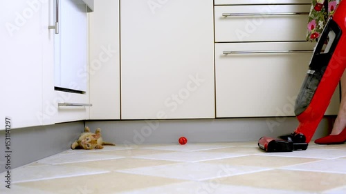 Yellow kitten is playing on the floor, getting in the way of a woman trying to vacuum