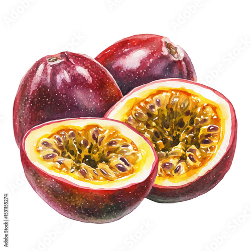 Passion Fruit Slice, watercolor vector, isolated on a white background.