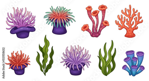 Vibrant Collection of Sea Anemones, Coral, and Seaweed