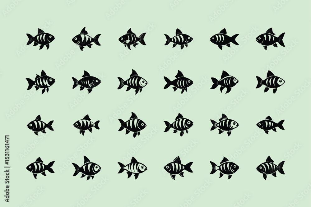 Fototapeta premium Rosy Barb, aquarium fish, vector art illustration