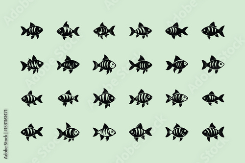 Rosy Barb, aquarium fish, vector art illustration