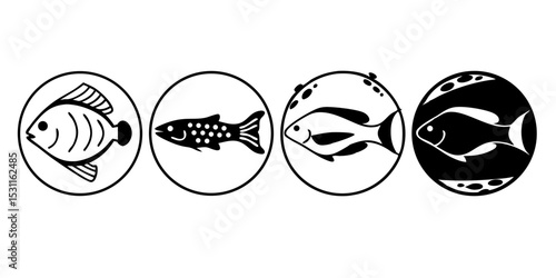 black and white eggs