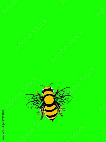 Bee animation flying from left to right on a chroma key green background. Suitable for educational content, kids videos, or overlay effects in creative projects