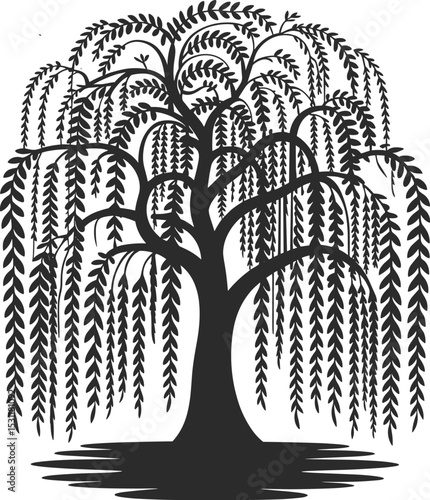 Silhouette of a beautiful weeping willow tree with cascading branches, natural elegant design, black and white illustration, vector art, nature-inspired graphic, isolated tree silhouette, 
