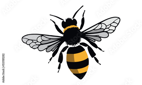 bee vector on white background.
