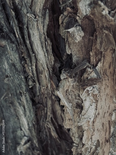 фотографія Capture the quiet coexistence of trees and blooming flowers in a public park setting